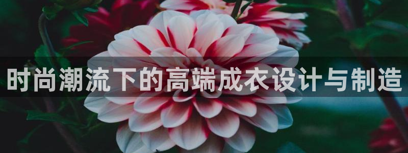 乐发彩票平台官网
