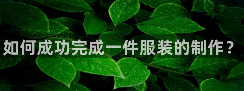乐发平台app