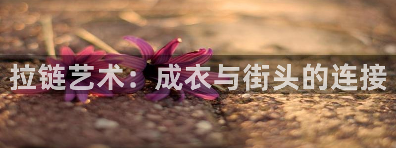 乐发发平台注册