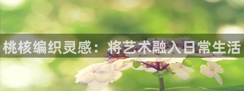 乐发彩票平台入口下载