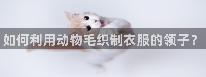 必乐2平台指尖发