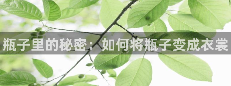 乐发彩票最新平台下载