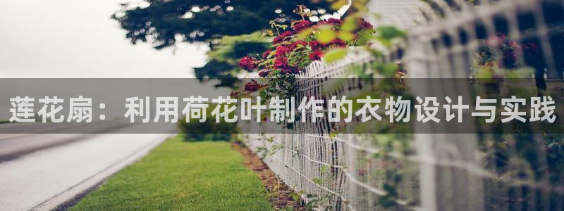乐发彩票app平台怎么样