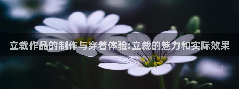 乐发3彩票平台