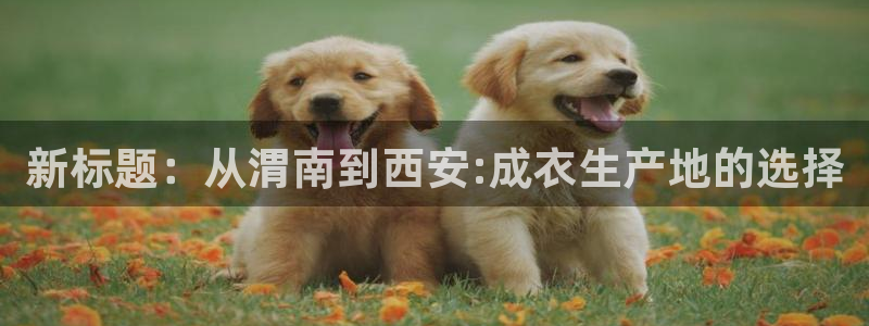 玖发娱乐平台刮刮乐