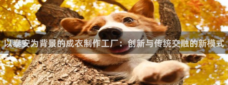 乐发平台邀请码合集