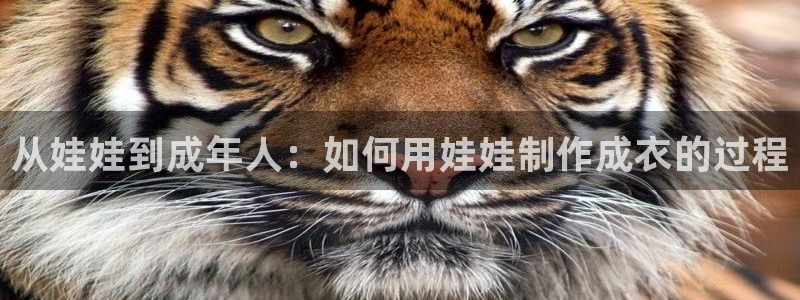 乐发平台网址是多少