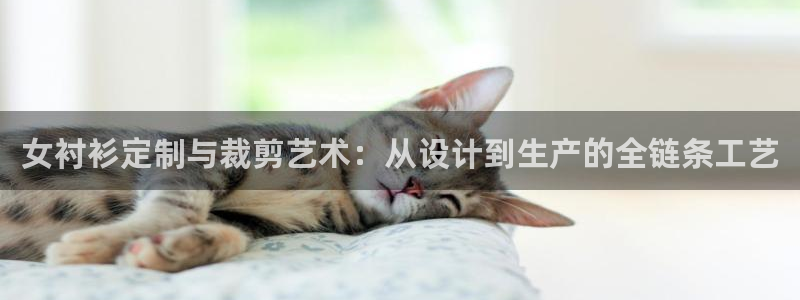乐发彩票平台正规不