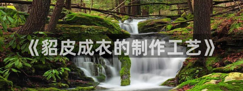 乐发是大平台吗