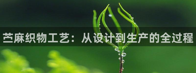 乐发彩票平台网址是多少