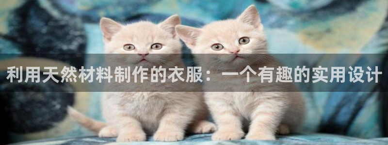乐发彩票平台网址是多少