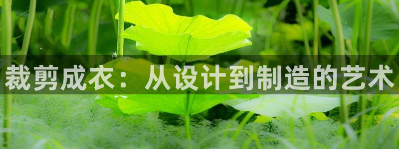 乐发彩票平台玩能赚钱吗