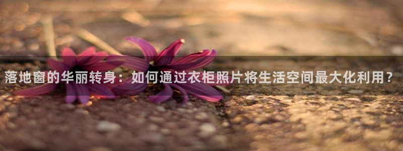 乐发体育平台官网首页