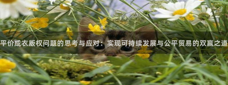 乐发彩票平台玩能赚钱吗