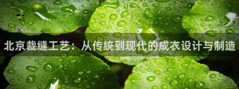 乐发彩票平台入口在哪