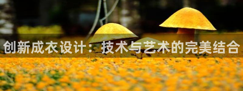 乐发VIII平台