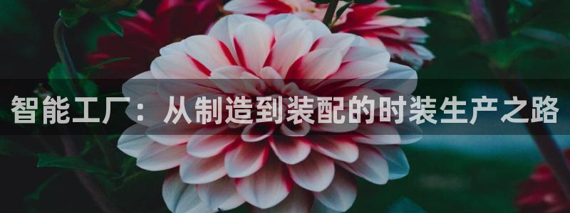 乐发vl彩票平台