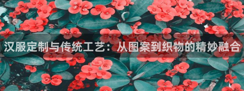 乐发vl彩票平台合法