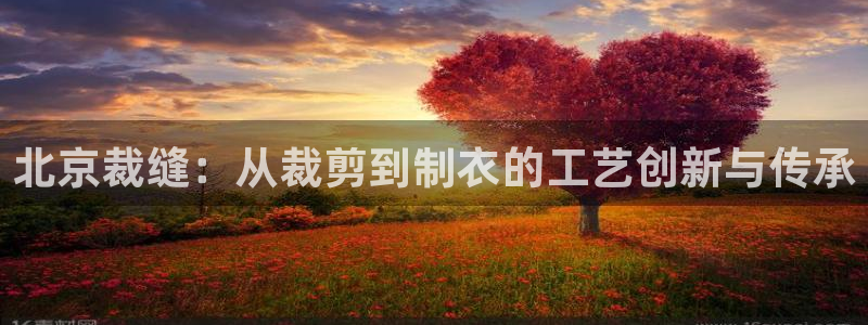 乐发平台注册地址是哪里