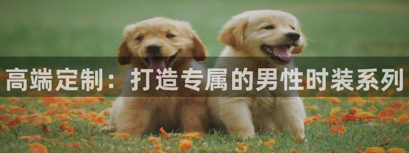 乐发国际娱乐平台