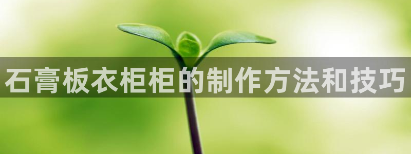 乐发平台网址是多少