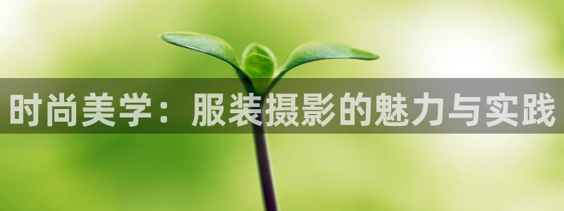 乐发平台注册资金多少亿