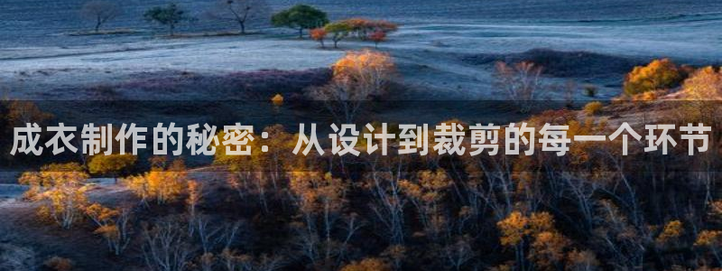 乐发 国际是不是黑平台