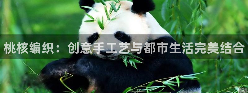 乐发lx这个平台怎么样