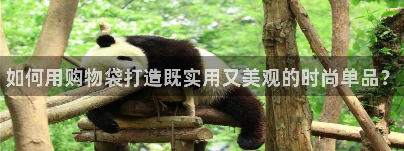 乐发平台注册地址在哪里