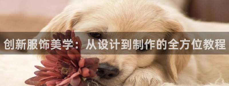 乐发lv平台真实吗