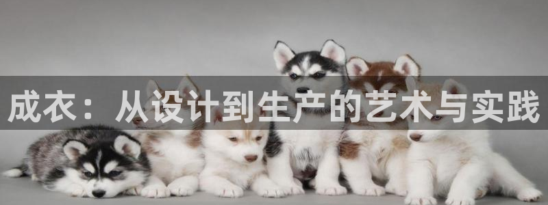 乐发平台下载官网app