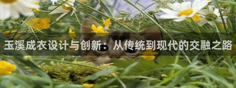 乐发彩票平台正规吗